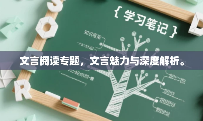 文言阅读专题,文言魅力与深度解析。 文言阅读专题,文言魅力与深度解析。