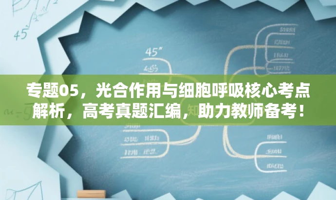专题05,光合作用与细胞呼吸核心考点解析,高考真题汇编,助力教师备考! 专题05,光合作用与细胞呼吸核心考点解析,高考真题汇编,助力教师备考!