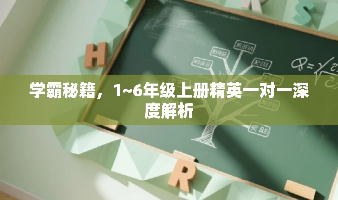 学霸秘籍,1~6年级上册精英一对一深度解析 学霸秘籍,1~6年级上册精英一对一深度解析