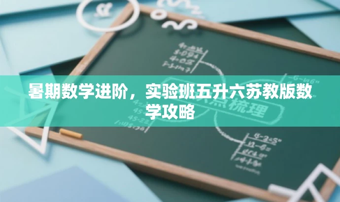 暑期数学进阶,实验班五升六苏教版数学攻略 暑期数学进阶,实验班五升六苏教版数学攻略