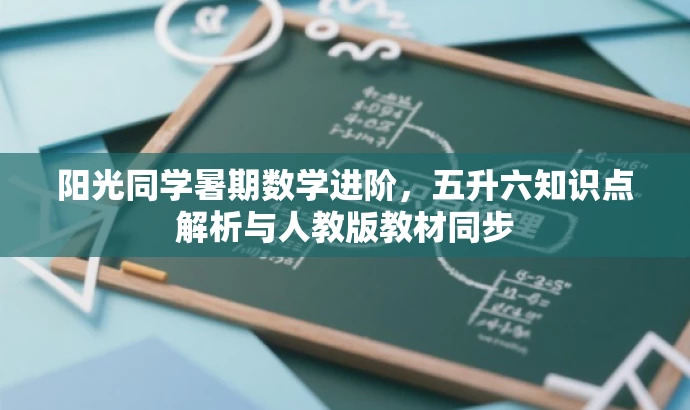 阳光同学暑期数学进阶,五升六知识点解析与人教版教材同步 阳光同学暑期数学进阶,五升六知识点解析与人教版教材同步