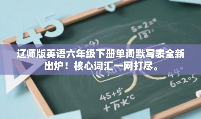 辽师版英语六年级下册单词默写表全新出炉！核心词汇一网打尽。