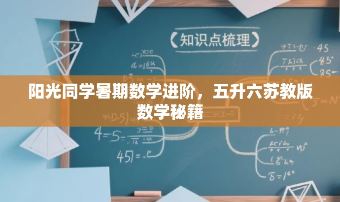 阳光同学暑期数学进阶,五升六苏教版数学秘籍 阳光同学暑期数学进阶,五升六苏教版数学秘籍