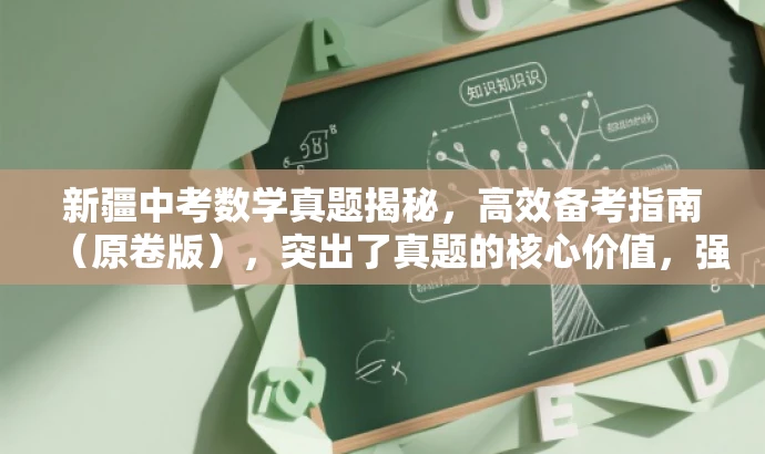 新疆中考数学真题揭秘，高效备考指南（原卷版），突出了真题的核心价值，强调了备考的高效性，同时使用了吸引眼球的语言来吸引目标人群的注意力。