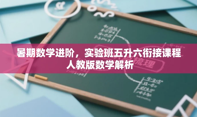 暑期数学进阶,实验班五升六衔接课程 人教版数学解析 暑期数学进阶,实验班五升六衔接课程 人教版数学解析