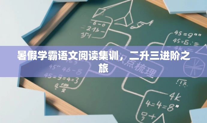 暑假学霸语文阅读集训,二升三进阶之旅 暑假学霸语文阅读集训,二升三进阶之旅