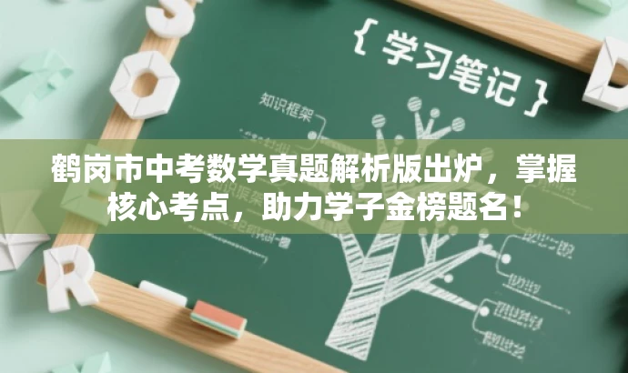 鹤岗市中考数学真题解析版出炉，掌握核心考点，助力学子金榜题名！