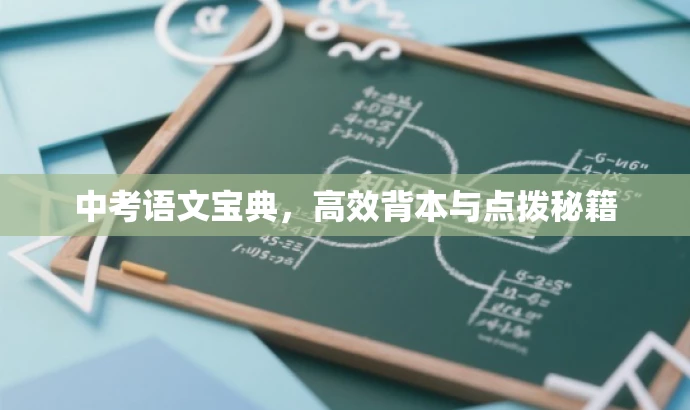 中考语文宝典,高效背本与点拨秘籍 中考语文宝典,高效背本与点拨秘籍