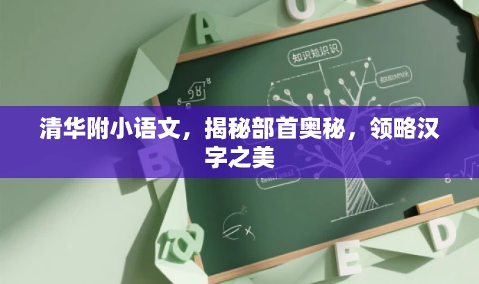 清华附小语文,揭秘部首奥秘,领略汉字之美 清华附小语文,揭秘部首奥秘,领略汉字之美