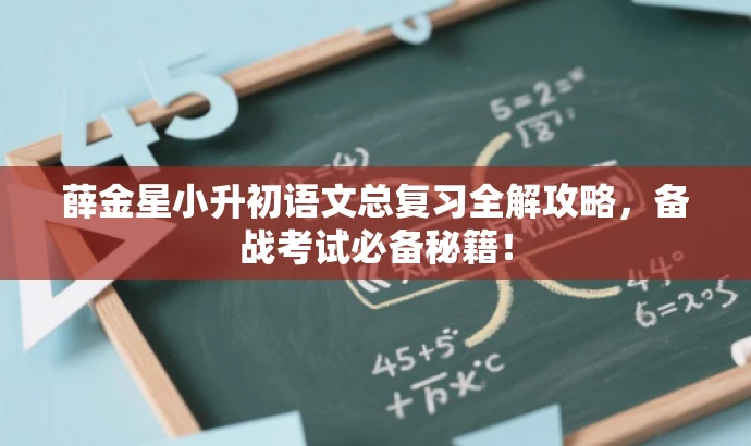 薛金星小升初语文总复习全解攻略,备战考试必备秘籍! 薛金星小升初语文总复习全解攻略,备战考试必备秘籍!