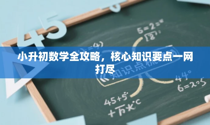 小升初数学全攻略,核心知识要点一网打尽 小升初数学全攻略,核心知识要点一网打尽