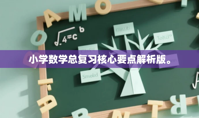 小学数学总复习核心要点解析版。 小学数学总复习核心要点解析版。