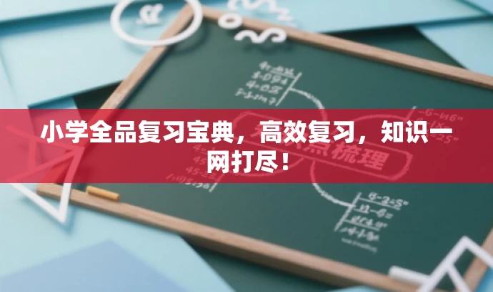 小学全品复习宝典,高效复习,知识一网打尽! 小学全品复习宝典,高效复习,知识一网打尽!