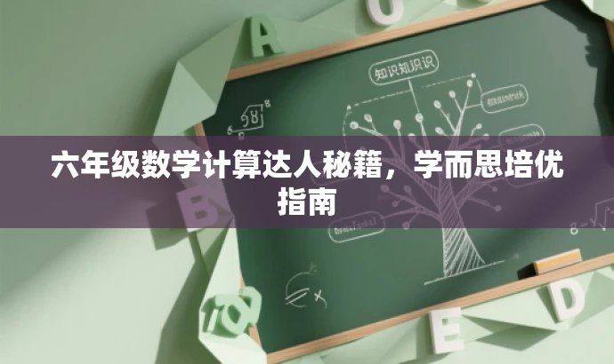 六年级数学计算达人秘籍,学而思培优指南 六年级数学计算达人秘籍,学而思培优指南
