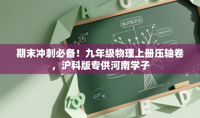 期末冲刺必备!九年级物理上册压轴卷,沪科版专供河南学子 期末冲刺必备!九年级物理上册压轴卷,沪科版专供河南学子