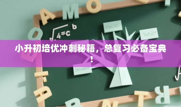 小升初培优冲刺秘籍,总复习必备宝典! 小升初培优冲刺秘籍,总复习必备宝典!