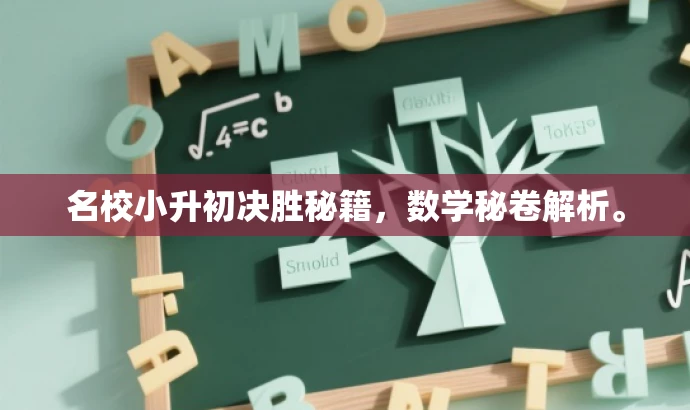 名校小升初决胜秘籍,数学秘卷解析。 名校小升初决胜秘籍,数学秘卷解析。