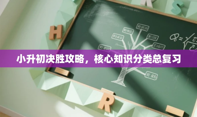 小升初决胜攻略,核心知识分类总复习 小升初决胜攻略,核心知识分类总复习