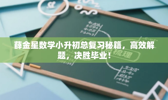 薛金星数学小升初总复习秘籍,高效解题,决胜毕业! 薛金星数学小升初总复习秘籍,高效解题,决胜毕业!