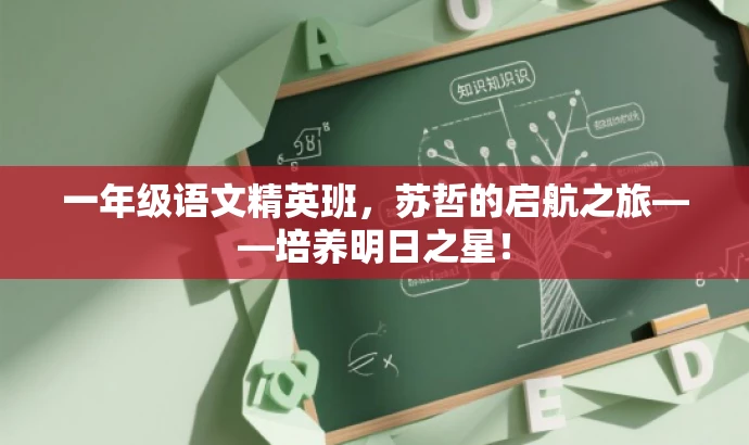 一年级语文精英班,苏哲的启航之旅——培养明日之星! 一年级语文精英班,苏哲的启航之旅——培养明日之星!