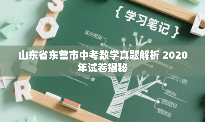 山东省东营市中考数学真题解析 2020年试卷揭秘 山东省东营市中考数学真题解析 2020年试卷揭秘