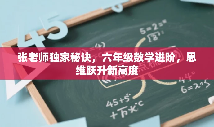 张老师独家秘诀,六年级数学进阶,思维跃升新高度 张老师独家秘诀,六年级数学进阶,思维跃升新高度
