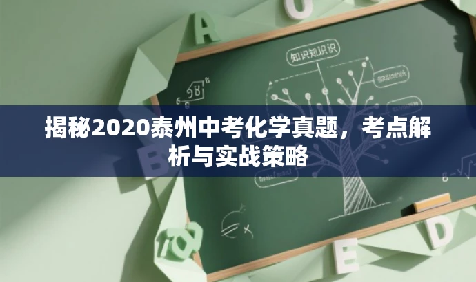 揭秘2020泰州中考化学真题,考点解析与实战策略 揭秘2020泰州中考化学真题,考点解析与实战策略