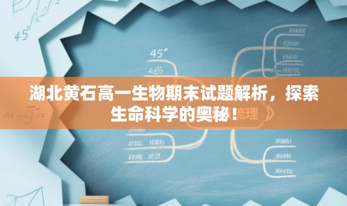 湖北黄石高一生物期末试题解析,探索生命科学的奥秘! 湖北黄石高一生物期末试题解析,探索生命科学的奥秘!