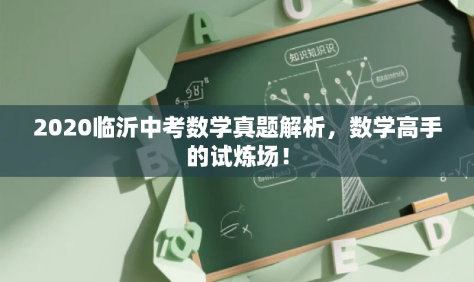 2020临沂中考数学真题解析,数学高手的试炼场! 2020临沂中考数学真题解析,数学高手的试炼场!