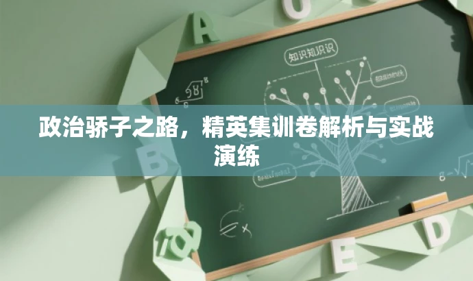 政治骄子之路,精英集训卷解析与实战演练 政治骄子之路,精英集训卷解析与实战演练