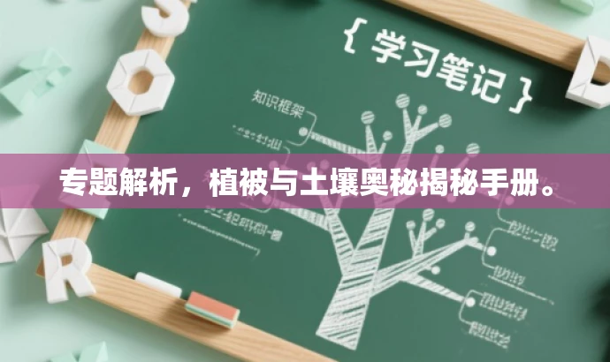 专题解析,植被与土壤奥秘揭秘手册。 专题解析,植被与土壤奥秘揭秘手册。