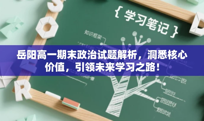 岳阳高一期末政治试题解析，洞悉核心价值，引领未来学习之路！