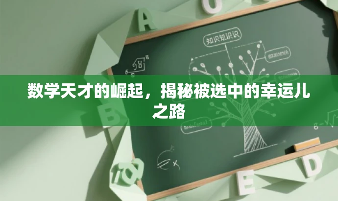数学天才的崛起,揭秘被选中的幸运儿之路 数学天才的崛起,揭秘被选中的幸运儿之路