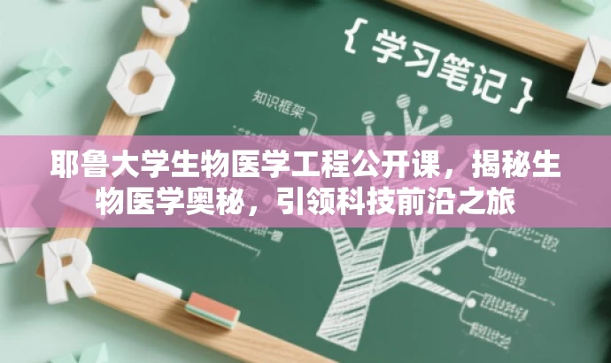 耶鲁大学生物医学工程公开课,揭秘生物医学奥秘,引领科技前沿之旅 耶鲁大学生物医学工程公开课,揭秘生物医学奥秘,引领科技前沿之旅