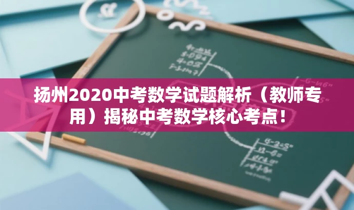 扬州2020中考数学试题解析(教师专用)揭秘中考数学核心考点! 扬州2020中考数学试题解析(教师专用)揭秘中考数学核心考点!