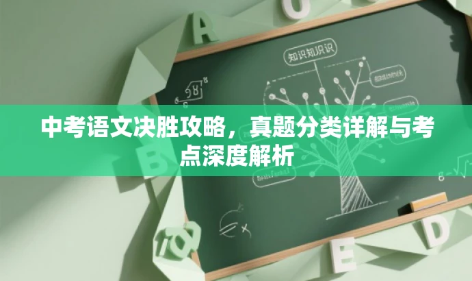 中考语文决胜攻略,真题分类详解与考点深度解析 中考语文决胜攻略,真题分类详解与考点深度解析