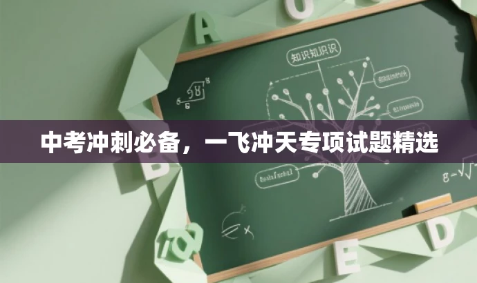 中考冲刺必备,一飞冲天专项试题精选 中考冲刺必备,一飞冲天专项试题精选