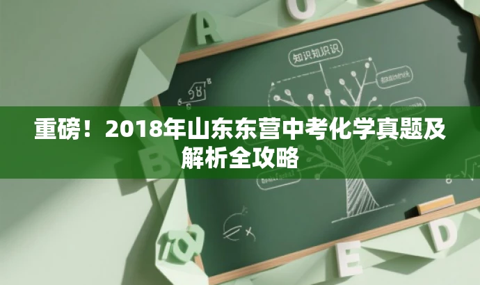 重磅!2018年山东东营中考化学真题及解析全攻略 重磅!2018年山东东营中考化学真题及解析全攻略