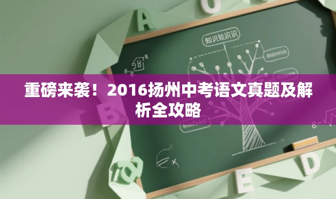 重磅来袭!2016扬州中考语文真题及解析全攻略 重磅来袭!2016扬州中考语文真题及解析全攻略