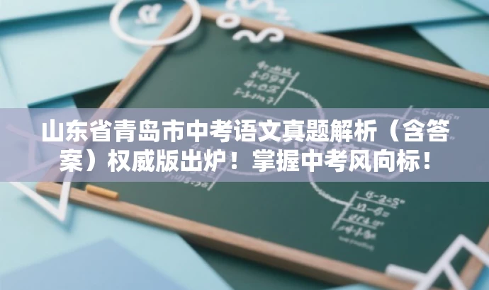 山东省青岛市中考语文真题解析(含答案)权威版出炉!掌握中考风向标! 山东省青岛市中考语文真题解析(含答案)权威版出炉!掌握中考风向标!