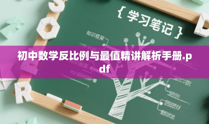 初中数学反比例与最值精讲解析手册.pdf 初中数学反比例与最值精讲解析手册.pdf