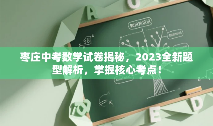 枣庄中考数学试卷揭秘,2023全新题型解析,掌握核心考点! 枣庄中考数学试卷揭秘,2023全新题型解析,掌握核心考点!