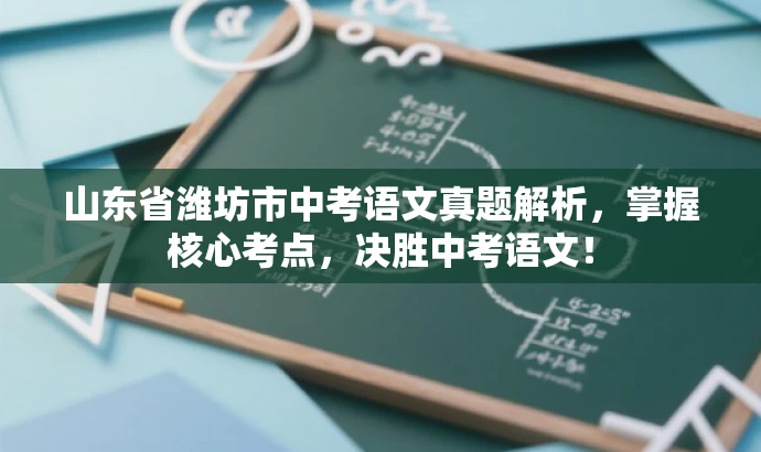 山东省潍坊市中考语文真题解析,掌握核心考点,决胜中考语文! 山东省潍坊市中考语文真题解析,掌握核心考点,决胜中考语文!