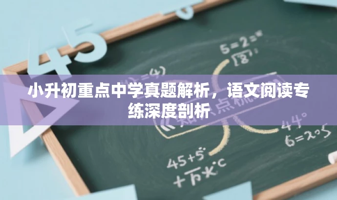 小升初重点中学真题解析,语文阅读专练深度剖析 小升初重点中学真题解析,语文阅读专练深度剖析