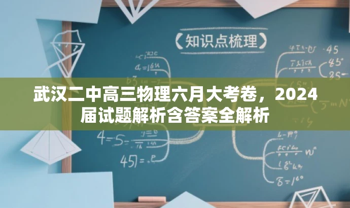 武汉二中高三物理六月大考卷,2024届试题解析含答案全解析 武汉二中高三物理六月大考卷,2024届试题解析含答案全解析