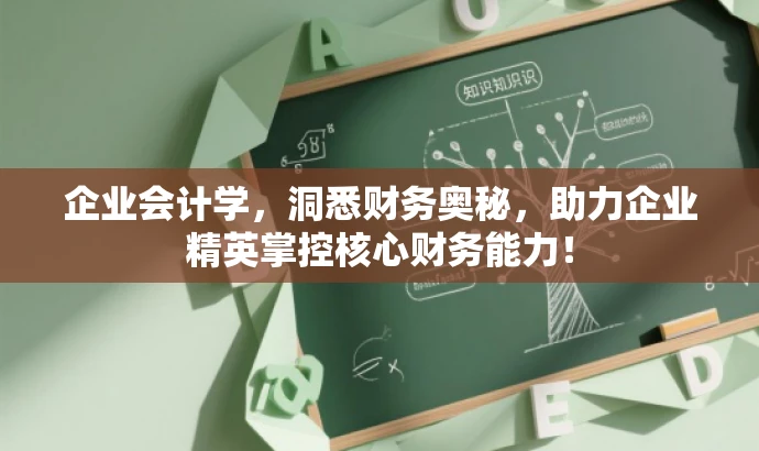 企业会计学,洞悉财务奥秘,助力企业精英掌控核心财务能力! 企业会计学,洞悉财务奥秘,助力企业精英掌控核心财务能力!