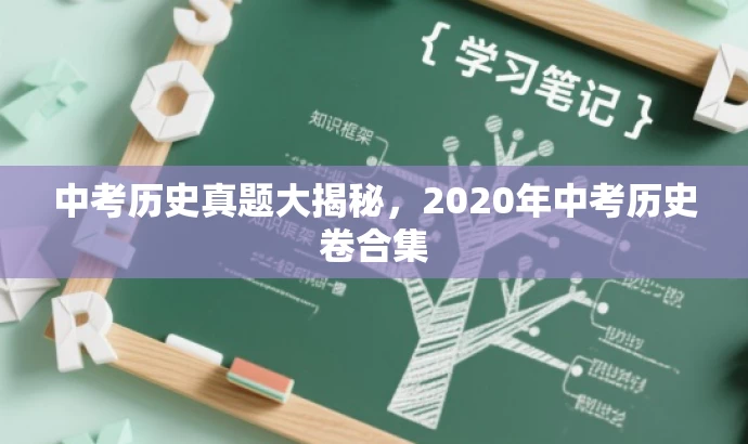中考历史真题大揭秘,2020年中考历史卷合集 中考历史真题大揭秘,2020年中考历史卷合集