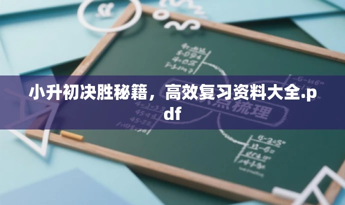 小升初决胜秘籍,高效复习资料大全.pdf 小升初决胜秘籍,高效复习资料大全.pdf