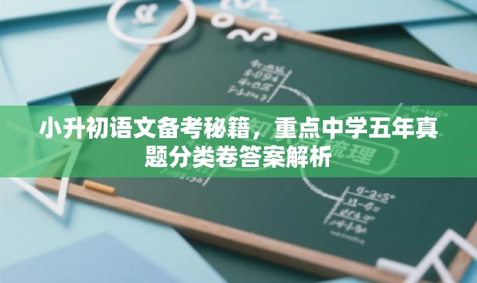 小升初语文备考秘籍,重点中学五年真题分类卷答案解析 小升初语文备考秘籍,重点中学五年真题分类卷答案解析