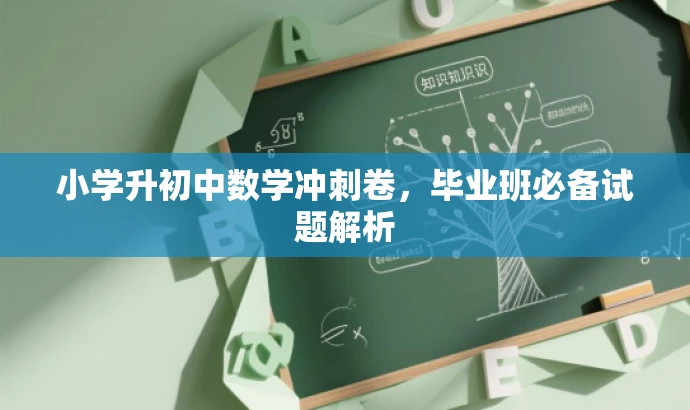 小学升初中数学冲刺卷,毕业班必备试题解析 小学升初中数学冲刺卷,毕业班必备试题解析